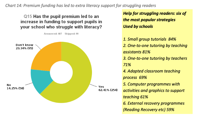 Phonics Plus 2014 Survey responses